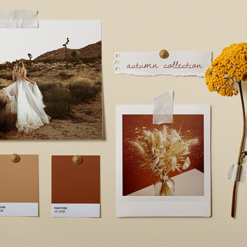 The Autumn Collection: Inspiration